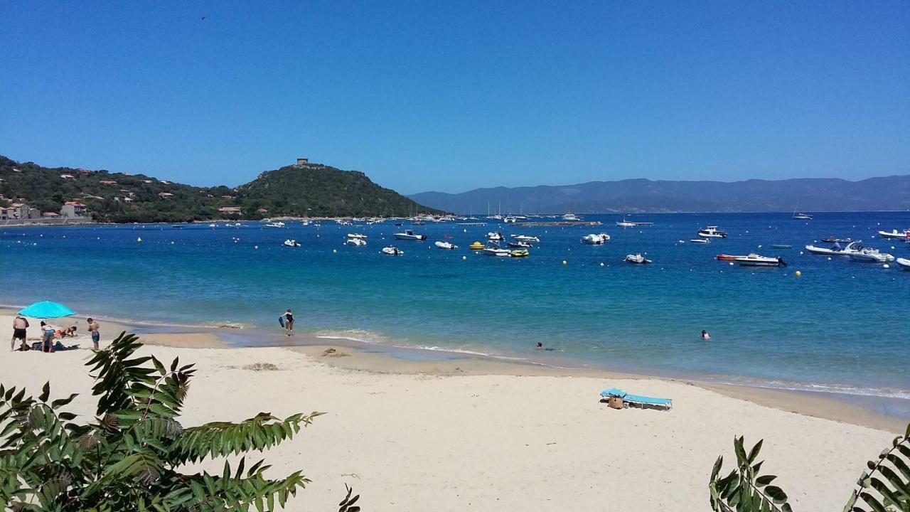 Corsica Monti Gite Appart Petreto-Bicchisano Kültér fotó